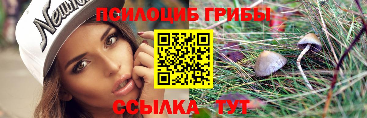 Галлюциногенные грибы GOLDEN TEACHER Краснодар